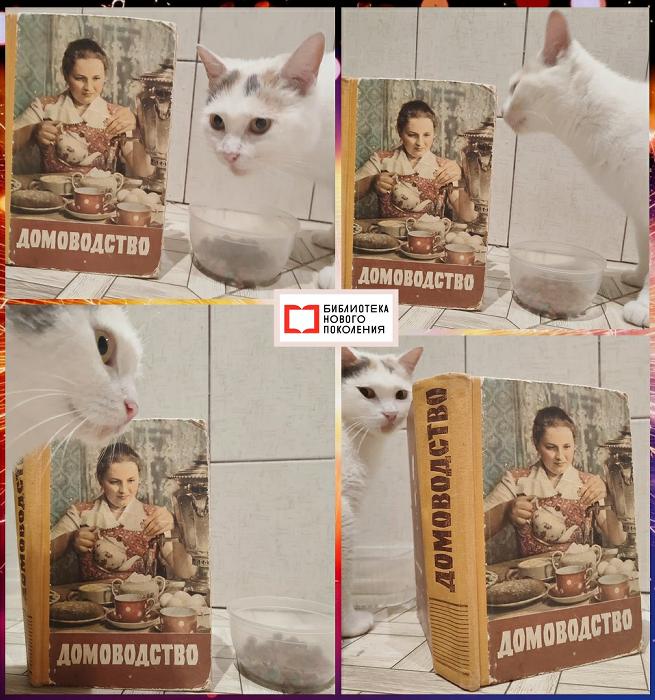 Муся и «Домоводство»