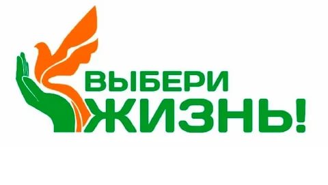 Итоги онлайн викторины "Выбери жизнь"