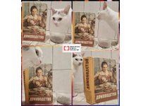 Муся и «Домоводство»