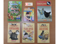 Муркин намёк