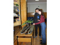 Земля героев 